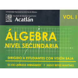Álgebra Nivel Secundaria Vol. I Dirigido a estudiantes con visión baja
