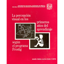 La percepción visual en los primeros años del aprendizaje según el programa Frostig