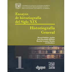 Ensayos de historiografía del siglo XIX tomo 1